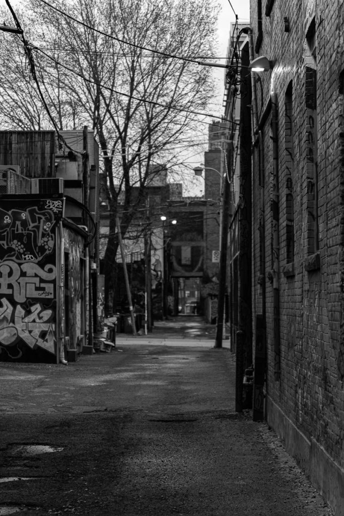 Becoming PARAFERAL – Toronto 2014 – Niko Skorpio
