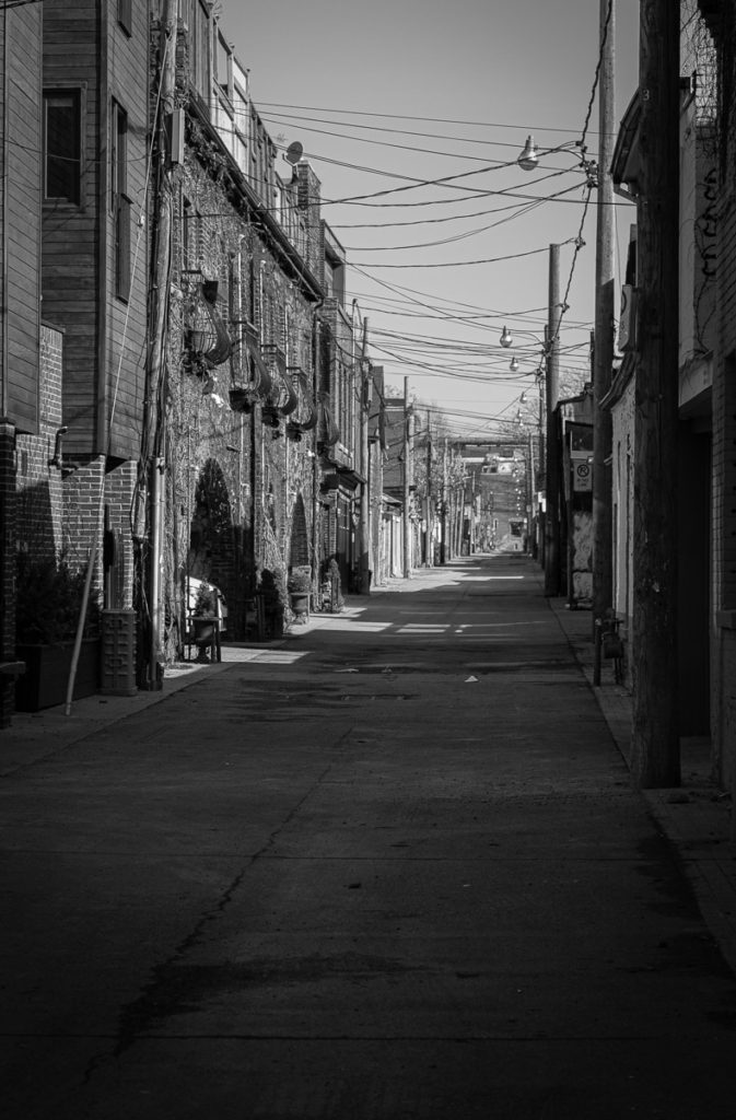 Becoming PARAFERAL – Toronto 2014 – Niko Skorpio