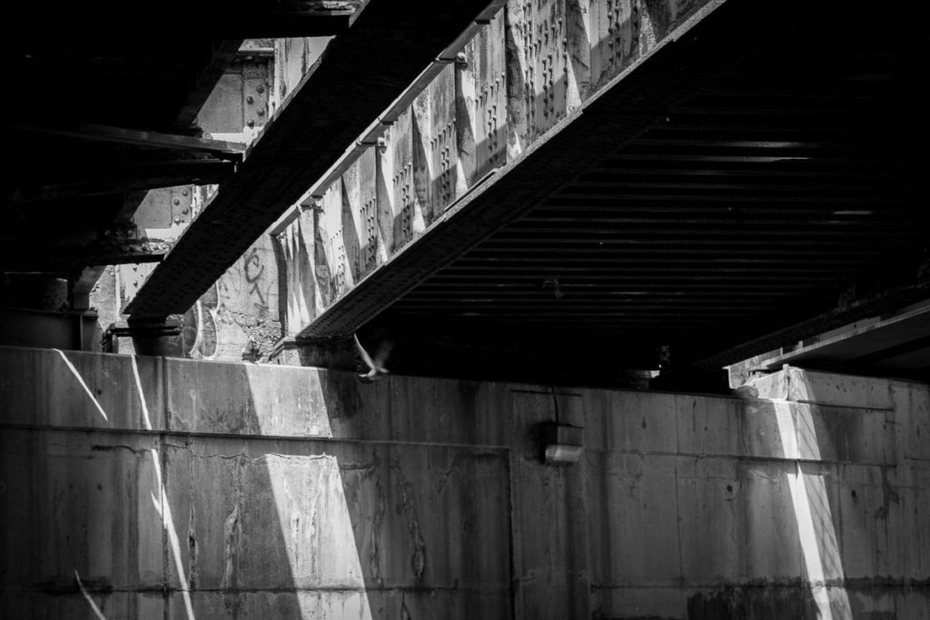 Becoming PARAFERAL – Toronto 2014 – Niko Skorpio