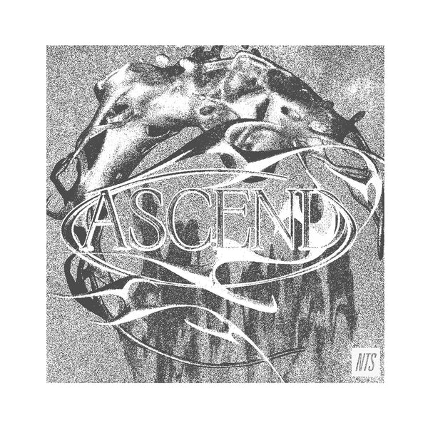 ASCEND double LP (NTS)